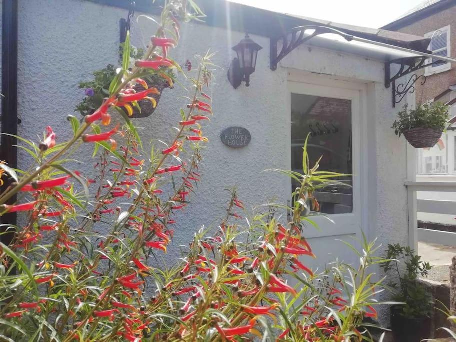 Appartamento The Flower House, Idyllic Cornish Retreat. Saint Erth Esterno foto